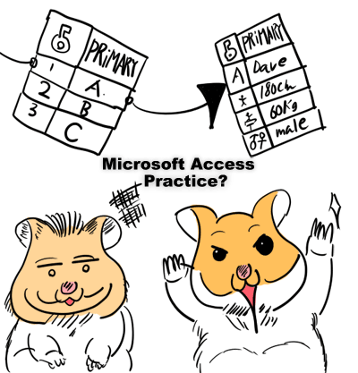 Microsoft Access practice?